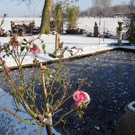 De Roze Klaproos Nocleg ze śniadaniem