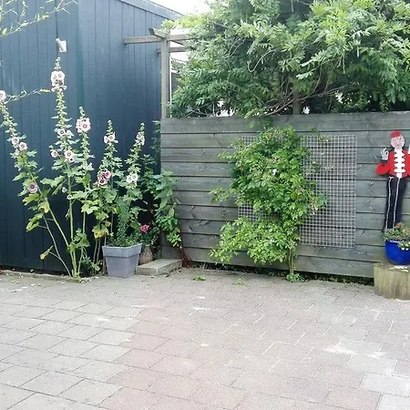 De Roze Klaproos *