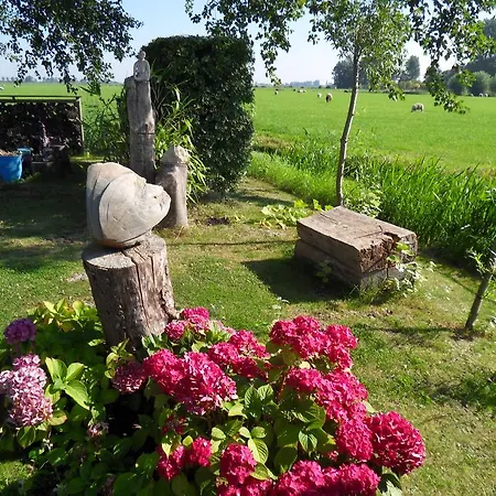 De Roze Klaproos